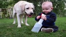 Hilarante scène entre ce bébé et ce chien