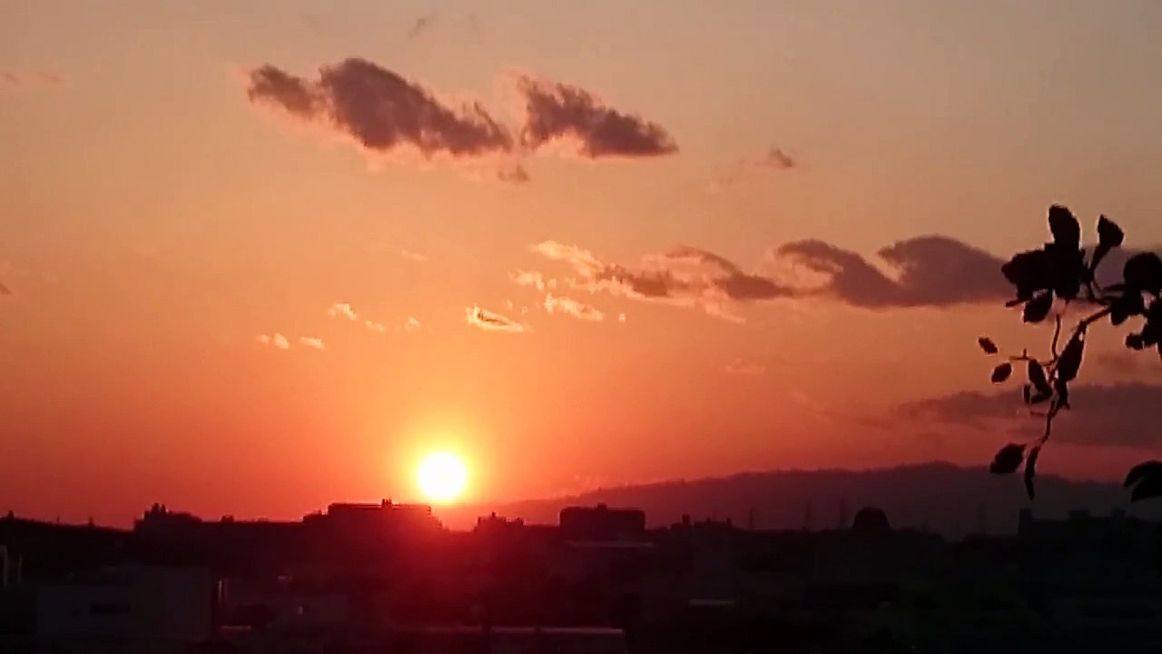 サンセット♪