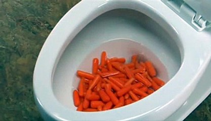 Il verse des carottes dans la toilette...Ce qui se passe est incroyable