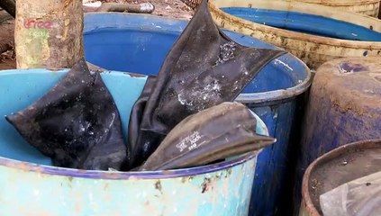 Meth And Madness In Mexico part 1/2