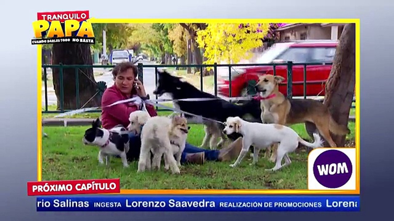 23 Avance Tranquilo papa