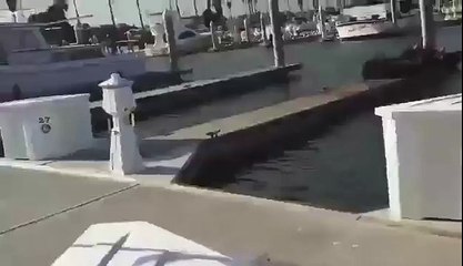 Latest 2017 funny short clips and videos