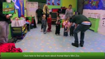 Animal Man Mini Zoo Nursery Visits _ Kids Parties Glasgow _ Childrens Parties