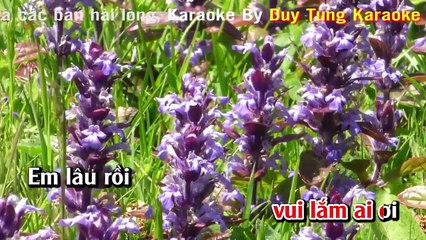 Karaoke - Cây Cầu Dừa - Nhạc Sống Cha Cha Cha Hay Nhất 2017