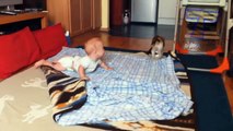 Babies and pets having fun together - Funny and cute baby & animal#003