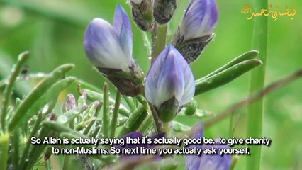 Fatima Bint Muhammad  S W A