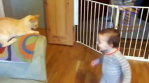 babies-and-pets-having-fun-together-funny-and-cute-baby-animal#002