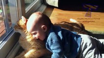 Babies and pets having fun together - Funny and cute baby & animal #004