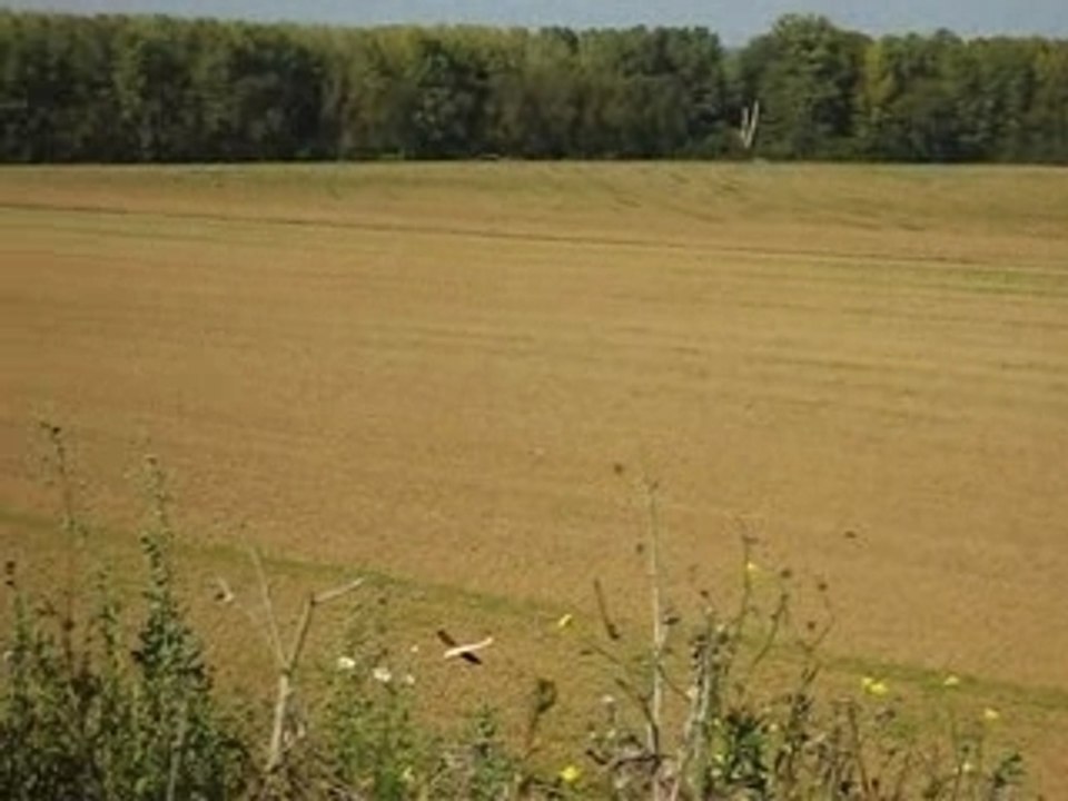 Vol du Crobe à Brie-Comte-Robert 2/3