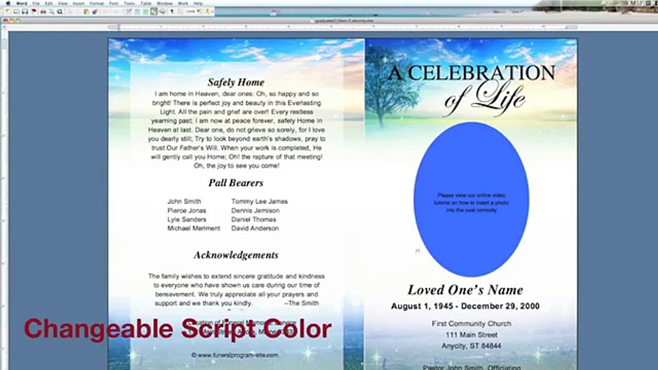 Elegant Script Titles and Fancy Script Lettering Fonts