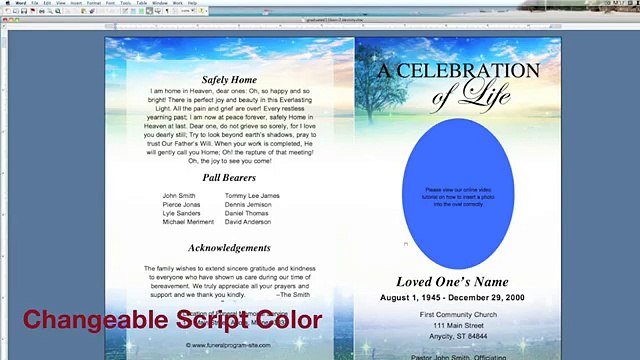 Elegant Script Titles and Fancy Script Lettering Fonts