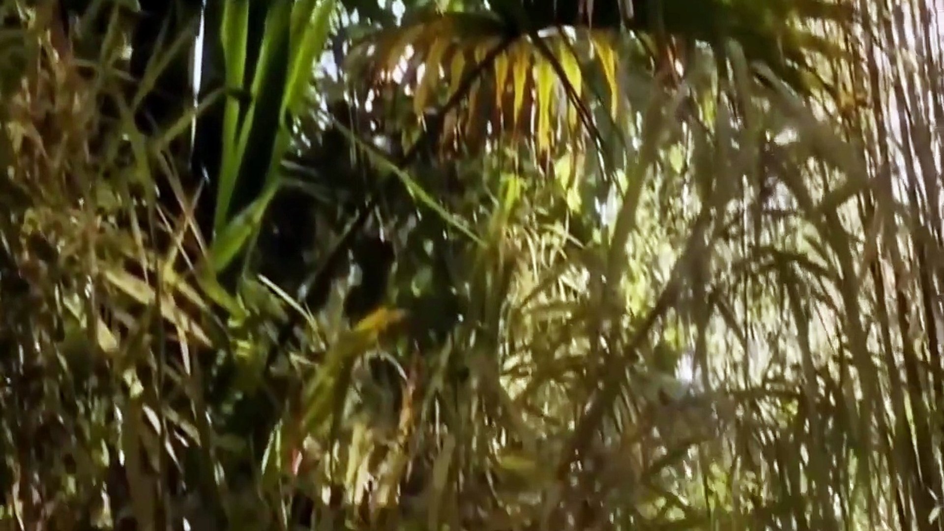 Sci Fi Movies For Kids Movies English 2016 Adventure Movies part 1/2