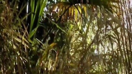 Sci Fi Movies For Kids Movies English 2016 Adventure Movies part 1/2