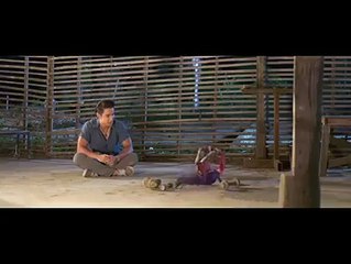 NINJA CHICKEN - Have You Ever Seen Before...