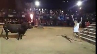 Funny Bull Fighting - Bull is Full of Rage.