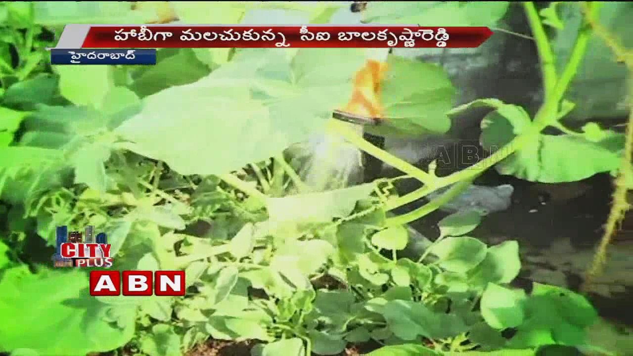 Bachupally police station terrus fills up with Complete Greenery
