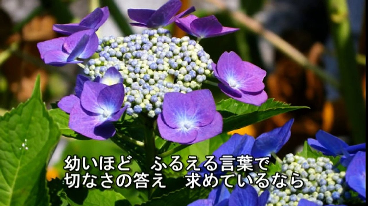 松原健之　瞳の奥まで
