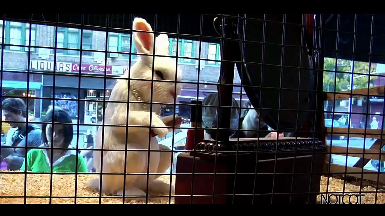 8 hewan aneh dan eksotis yg diplihara manusia