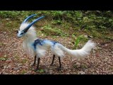 5 Most Unique Exotic Birds In The World!