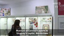 Cannabis museum celebrates legal weed in Uruguayqwewqe123]