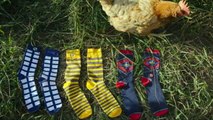 Monthly Sock Subscription