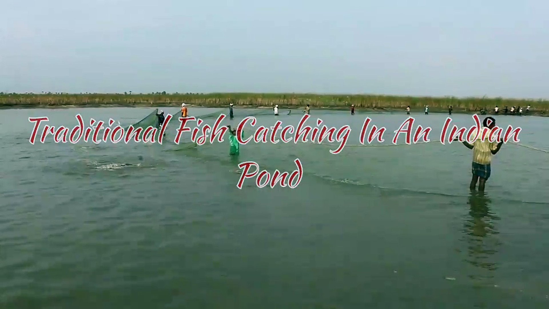 Fishing