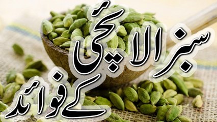 Elaichi Khane Ke Hairat Angeiz Fawaid Jin Se Aap Nawaqif Han