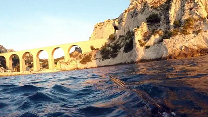 Du poisson frais au lever du soleil