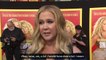 Amy Schumer jokes she'd kill to have Goldie Hawn in Snatched