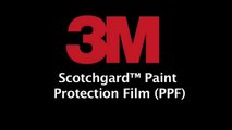 3M ScotchGard Paint Protection Film aww