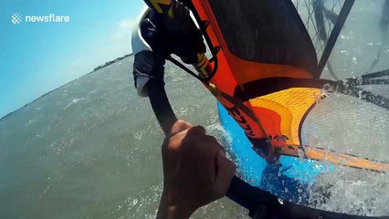 Windsurfer encounters bull shark