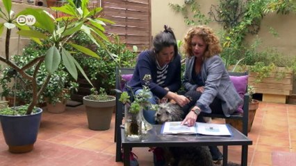 Killer whales in captivity in Spain | DW English