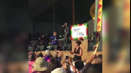 Esta intérprete de signos del concierto de Snoop Dogg arrasó