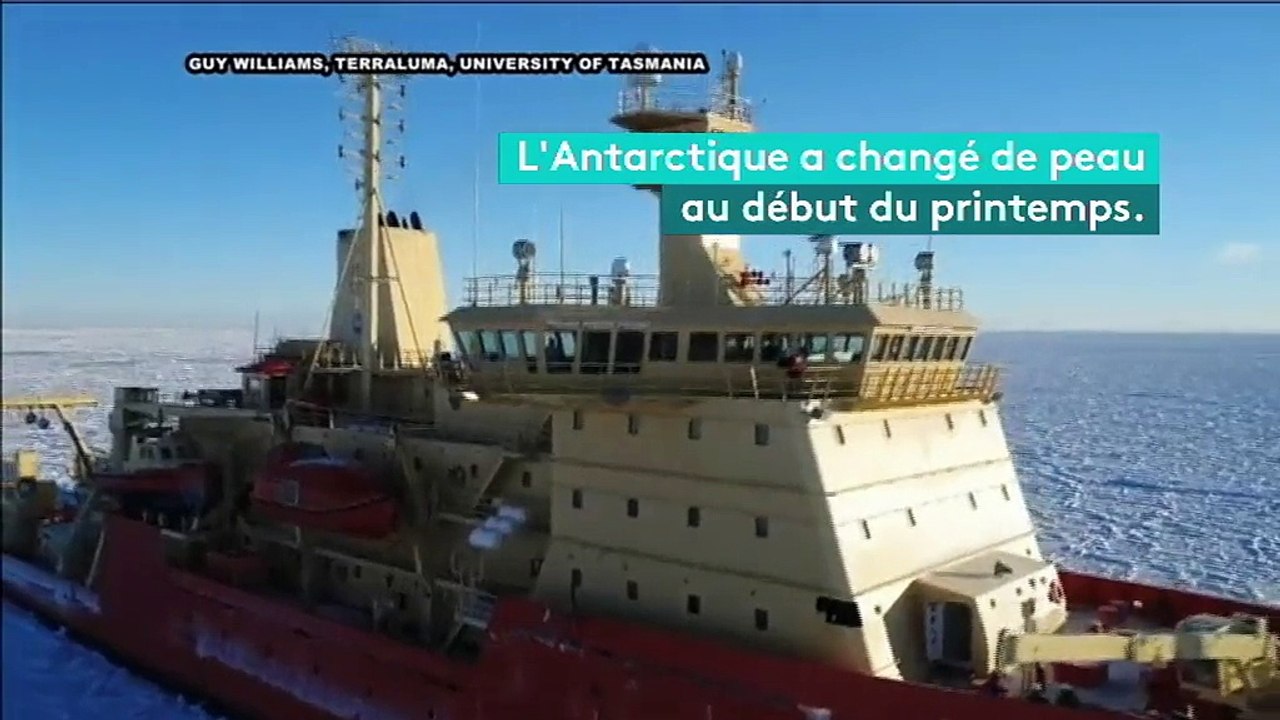 Antarctique : de la glace en "peau de dragon" observée pour la première fois depuis dix ans