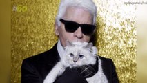 Karl Lagerfeld's Cat Gets $545 Toy Version
