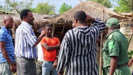 موزمبيق تعلن الحرب على قطع الغابات