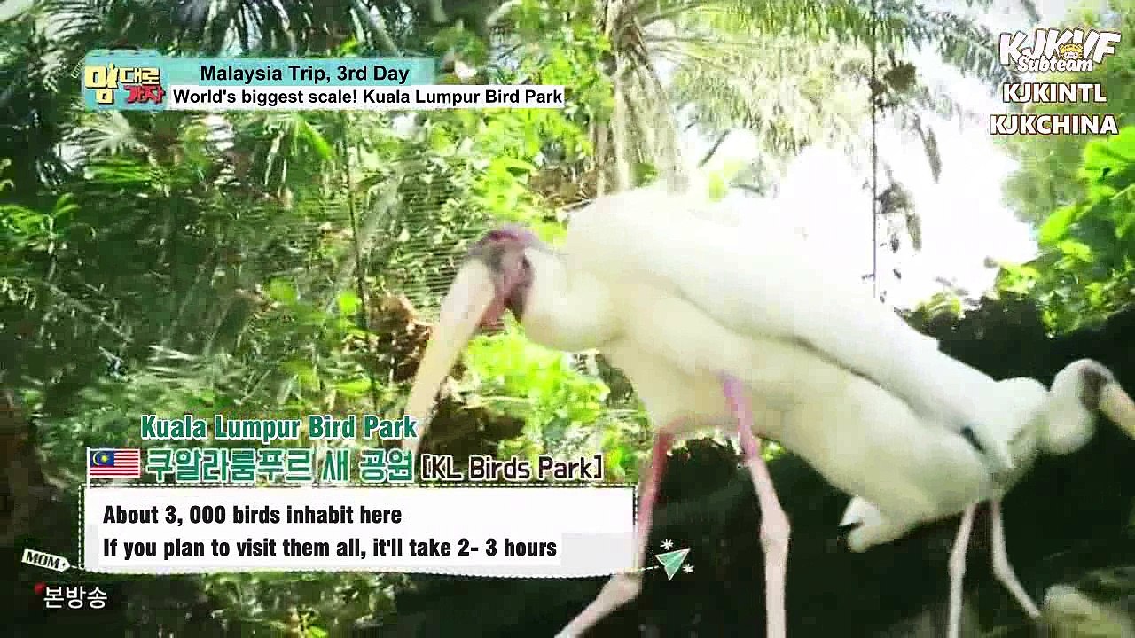 [ENGSUB] 170403 Lets Go With Mom - Ep.3 Part.2/2