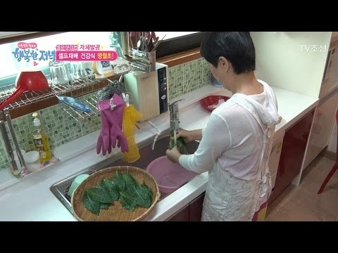 명월초를 활용해 집에서 건강식 만들기! [행복한 저녁] 18회 20170511