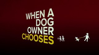 Helping dog bite victims seek justice - Manhattan