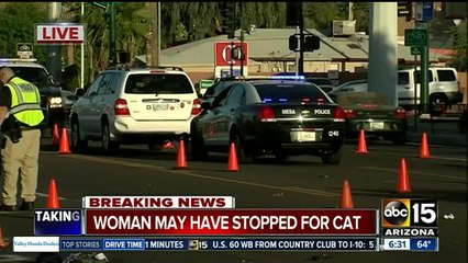 Woman may have been in the road to help injured animal when she was hit, killed