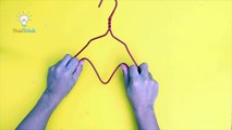 Hangers Life Hacks Everyone Should Know