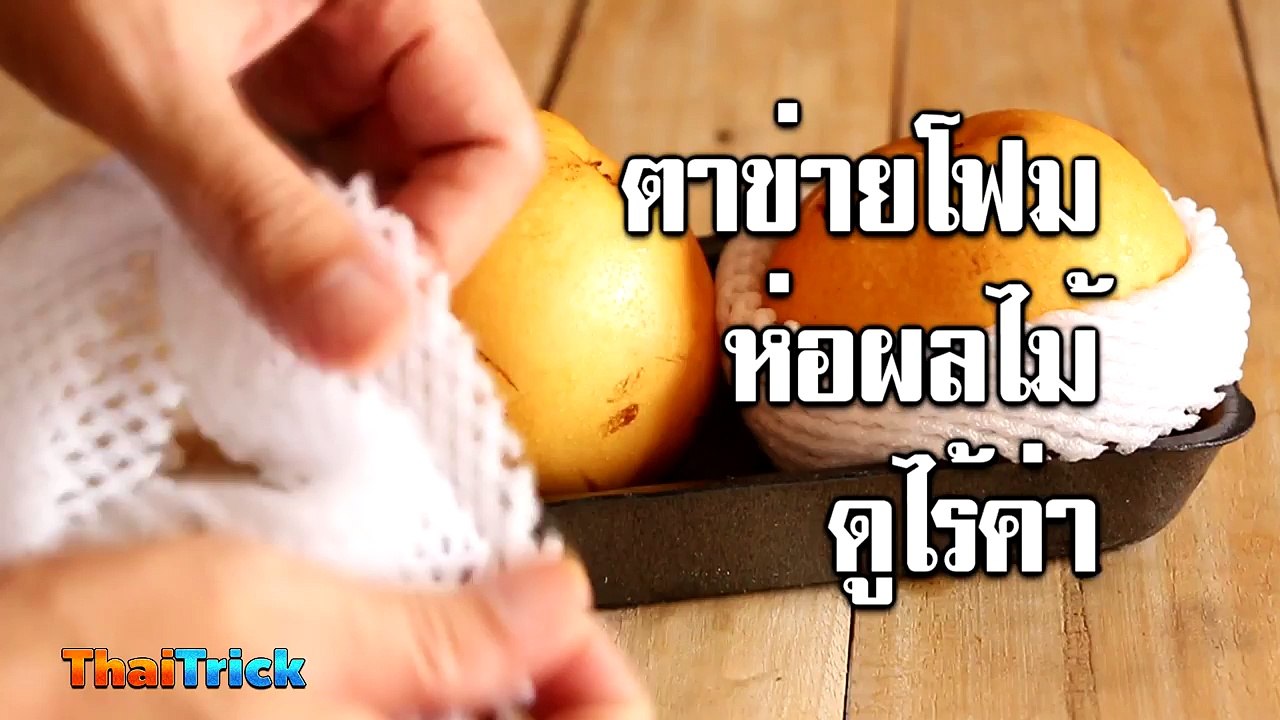10 Way To Use Fruit Foam Net