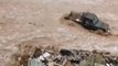 Severe Saudi Flooding Sweeps Away Vehicle