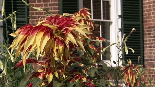 Monty Don Around the World in 80 Gardens E05 United States of America Video