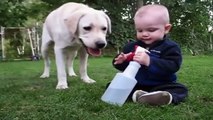Wow, Hilarante scène entre ce bébé et ce chien