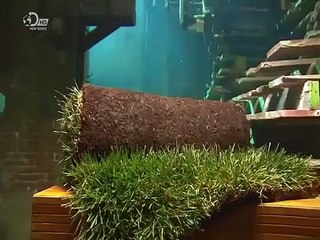 How It's Made Turf Grass
