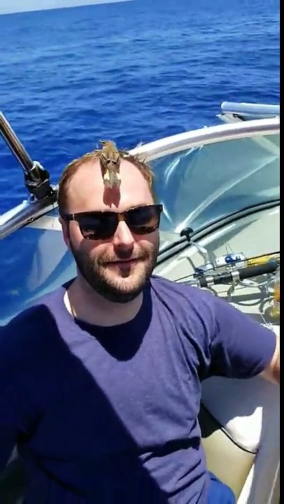 Cet oiseau est assis sur le crâne de cet homme !