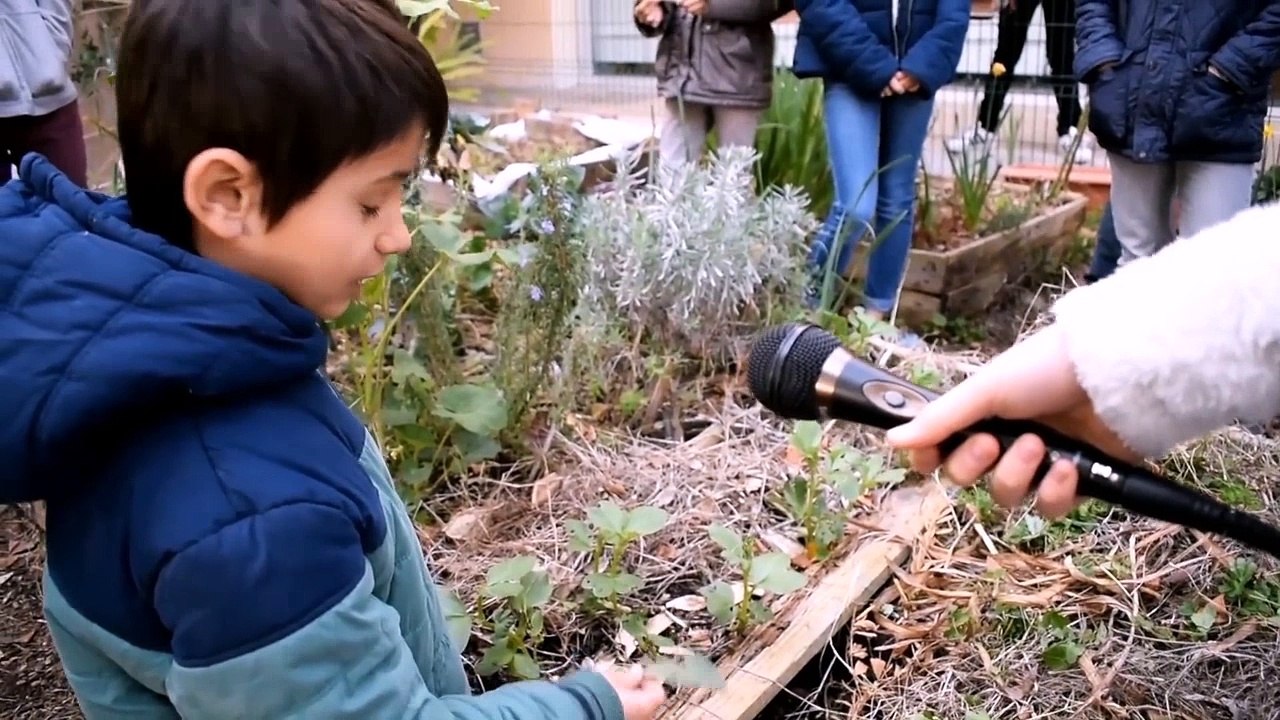 Festival innovation Collège International de Valbonne Herisson CIV
