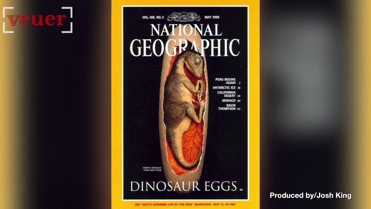 A Baby Mystery Dinosaur Has Finally Found It's Species