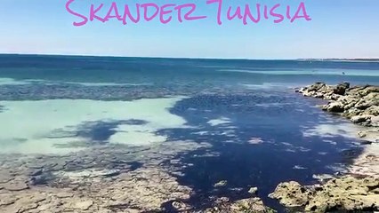 Tunisia_ Djerba island = what a Wonderful paradise -